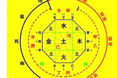 五行喜用神|生辰八字喜用神在线查询